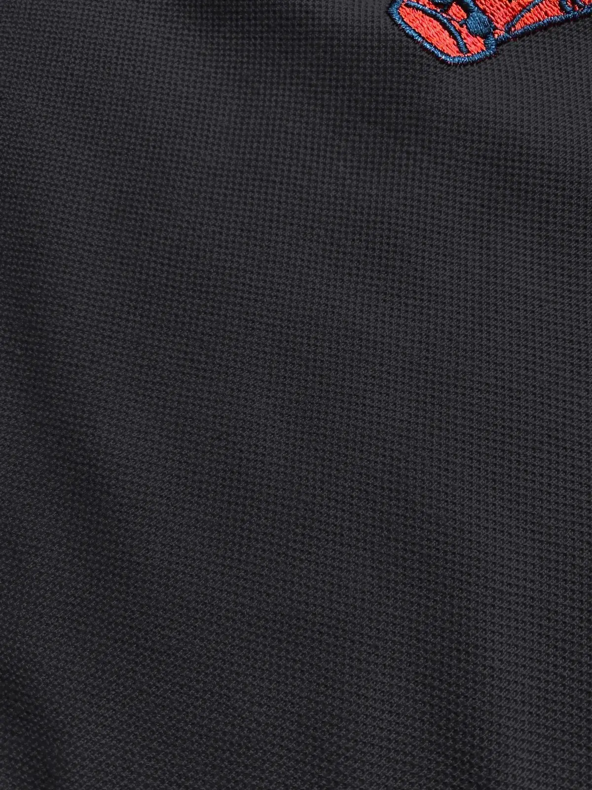 Camiseta Polo Black Watch Polo Team - Image 7